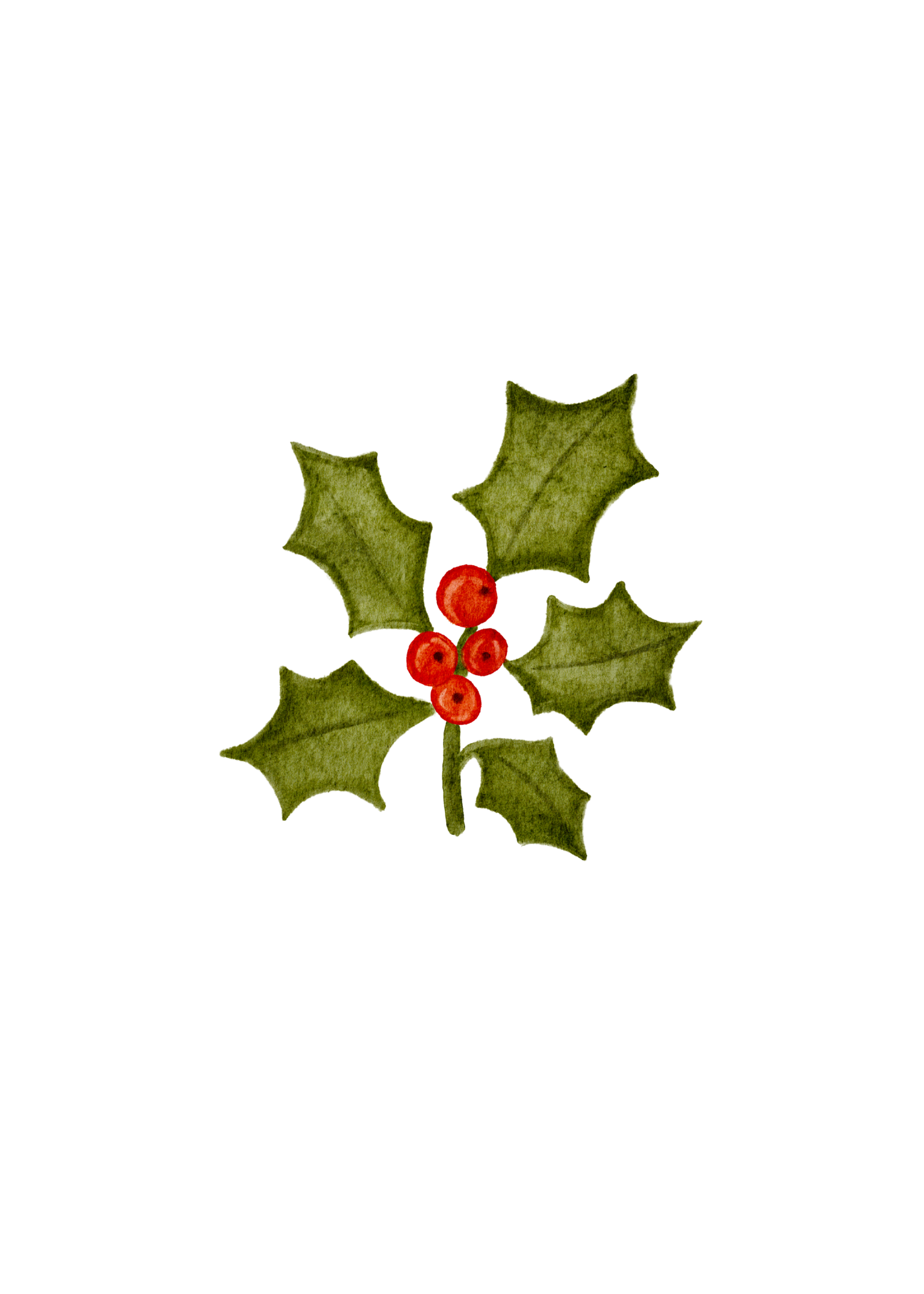 Original hand-drawn holly illustration with red berries
